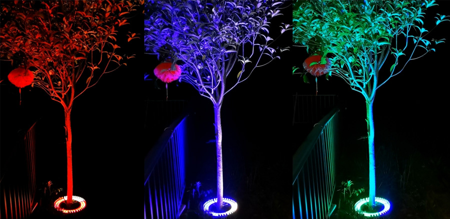 RGBW LED tree ring light with DMX control